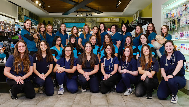 Buckingham Veterinary Hospital