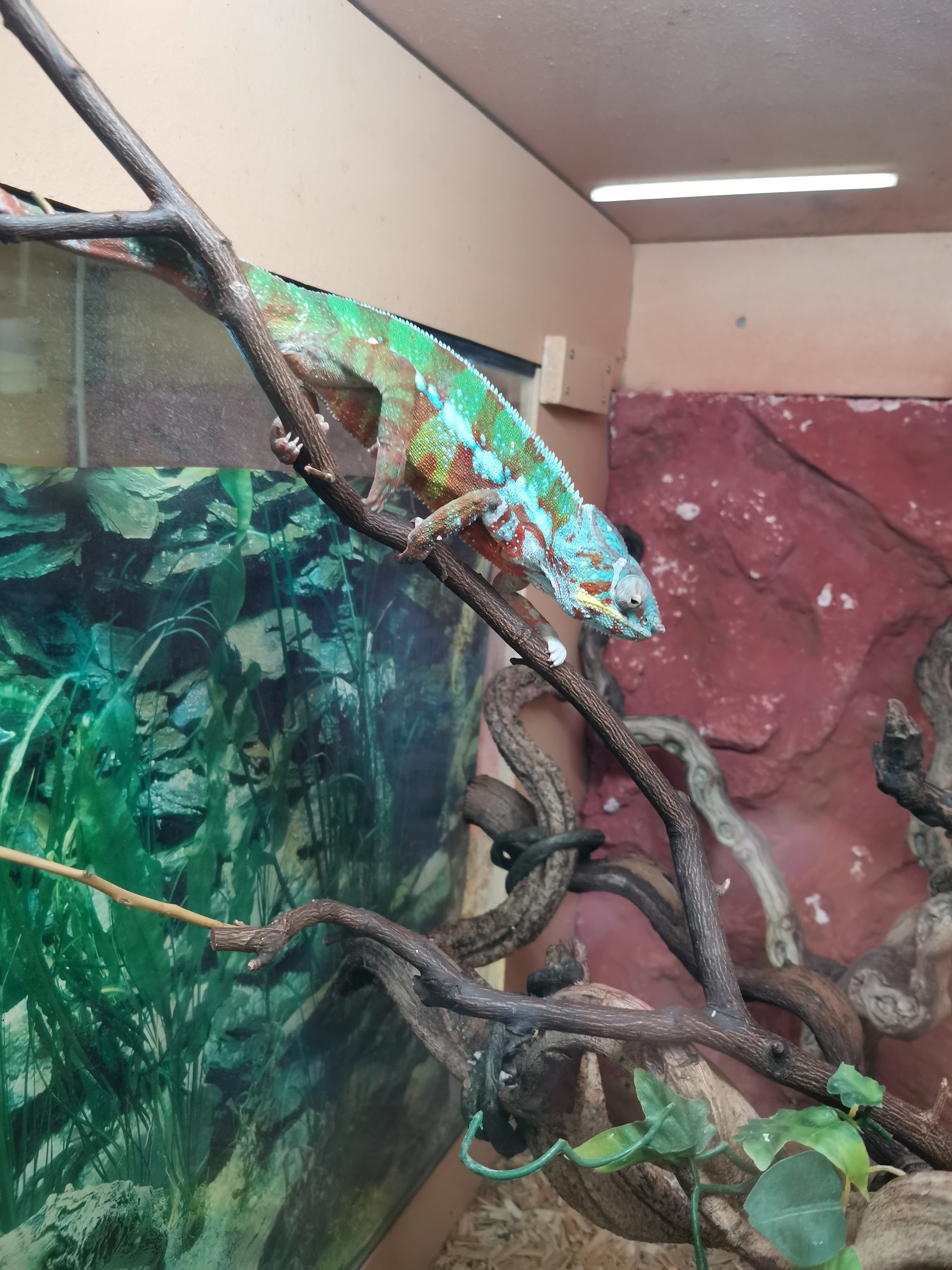 Photo n° 5 de l'avis de jerome. fait le 01/09/2021 à 14:11