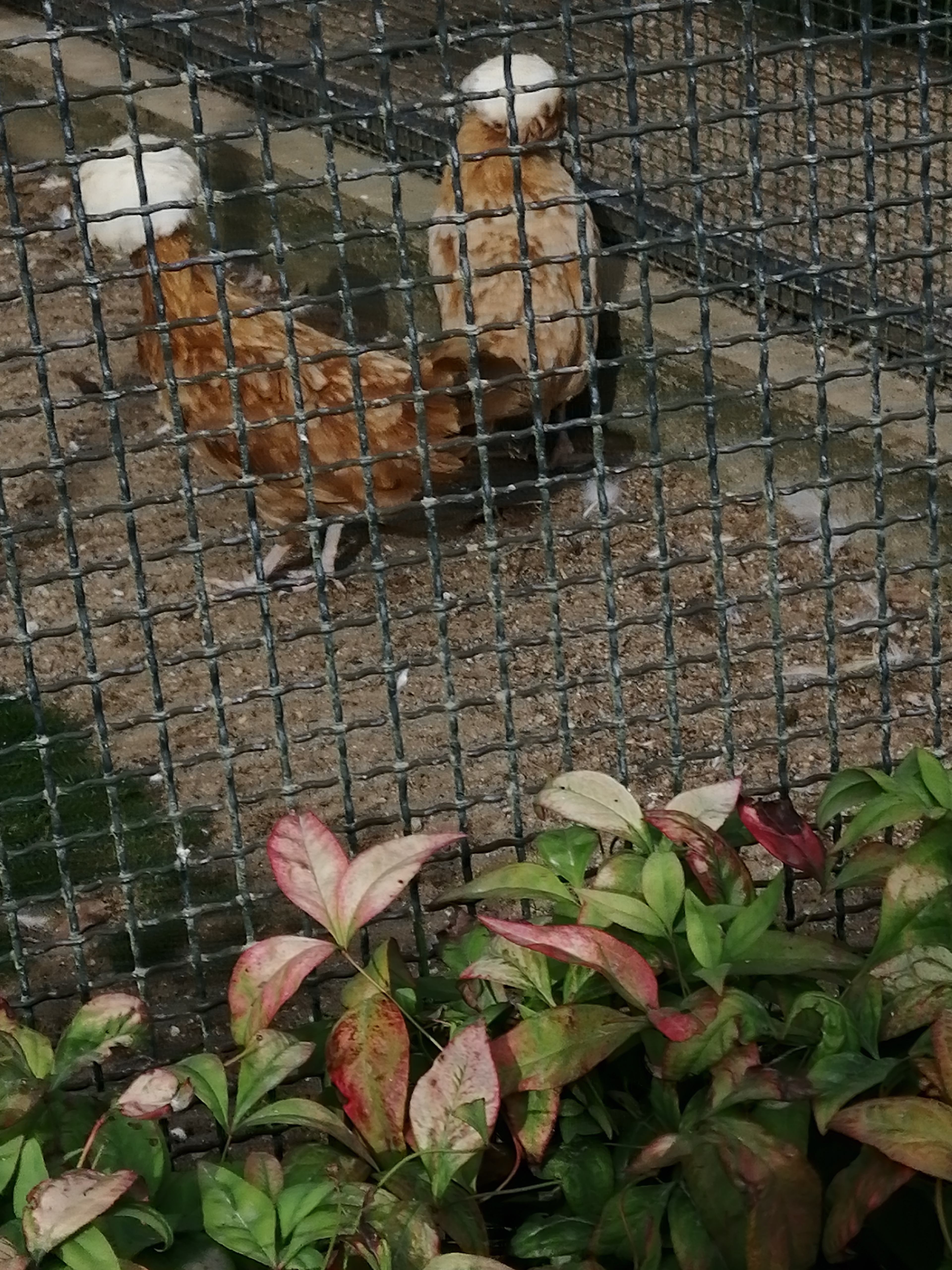 Photo n° 5 de l'avis de Princia.. fait le 22/08/2019 à 17:14