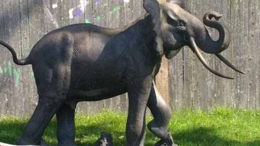 Zoo «Buttonwood Park Zoo», reviews and photos, 425 Hawthorn St, New Bedford, MA 02740, USA