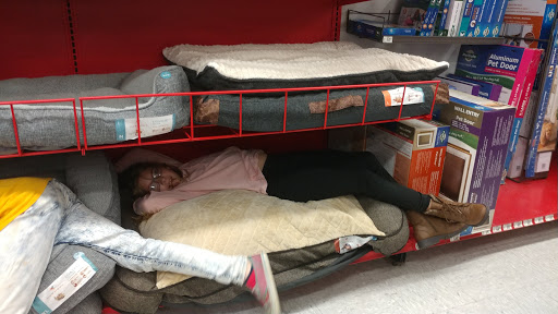 Pet Supply Store «Petco Animal Supplies», reviews and photos, 308 E Meighan Blvd, Gadsden, AL 35903, USA