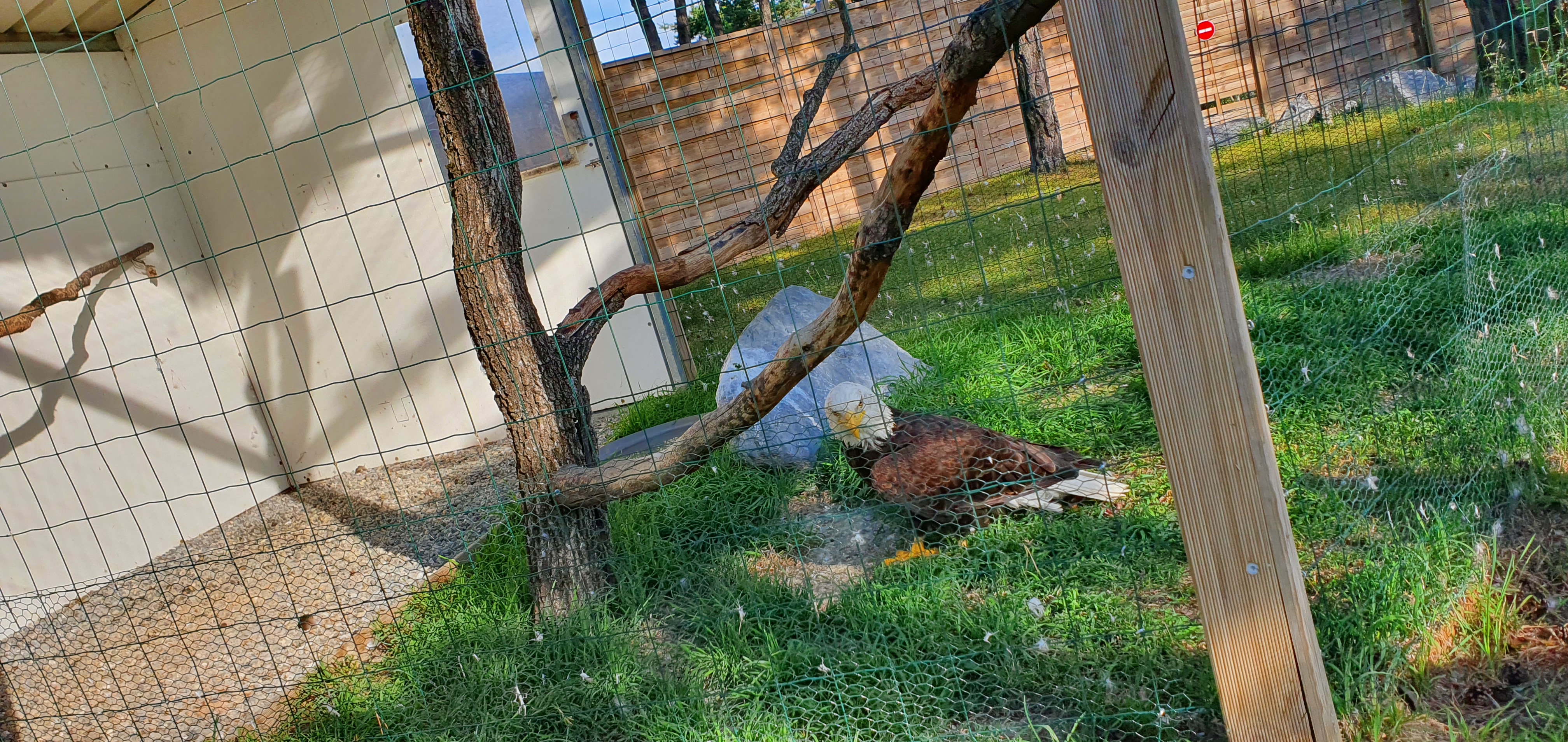 Photo n° 14 de l'avis de Alain.R fait le 30/08/2021 à 21:58