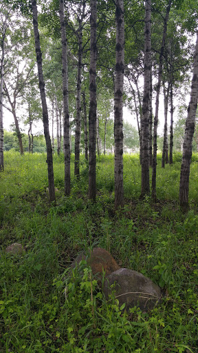 Nature Preserve «Rudy Kraemer Nature Preserve», reviews and photos, 12799 Chowen Ave S, Burnsville, MN 55337, USA