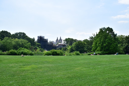 Movie Theater «Alpine Cinema», reviews and photos, 6817 5th Ave, Brooklyn, NY 11220, USA