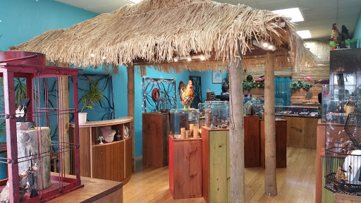 Raphael B Studio, 4310 Perkiomen Ave, Reading, PA 19606, USA, 