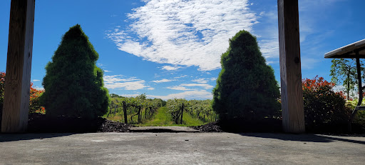 Winery «Virant Family Winery Inc», reviews and photos, 541 Atkins Rd, Geneva, OH 44041, USA