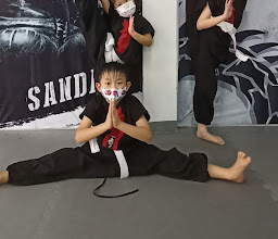 Dragon Team (龍 ???? 隊) • Setrasari photo