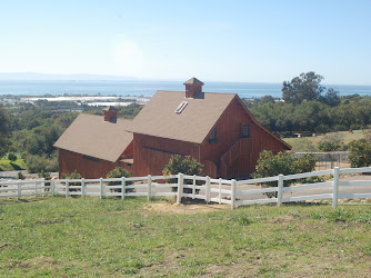 Canzelle Alpacas