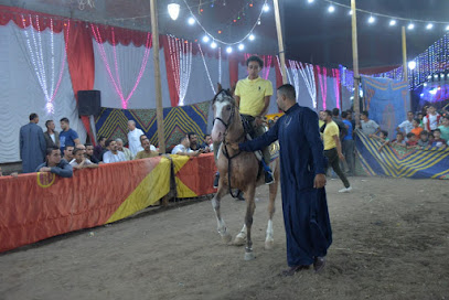 اسطبلات احمد سامي للخيول العربية