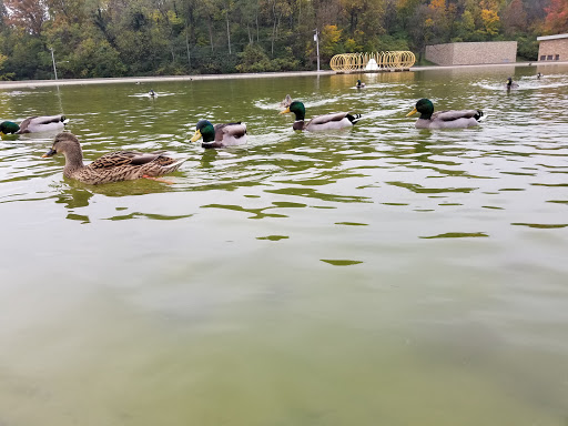 Park «Eden Park», reviews and photos, 950 Eden Park Dr, Cincinnati, OH 45202, USA