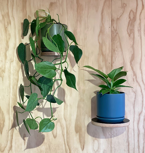 Indoor Botanicals - Shop