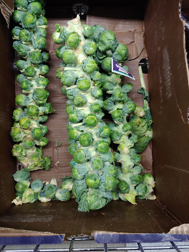 Supermarket «ALDI», reviews and photos, 1702 Blanding Blvd, Middleburg, FL 32068, USA