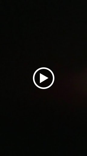 Dollar Store «Dollar Tree», reviews and photos, 60 Everett St, Allston, MA 02134, USA