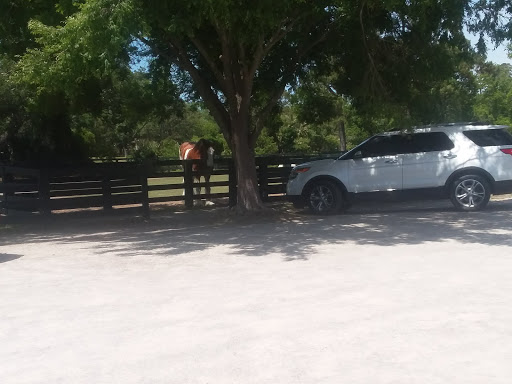 Stable «Lawton Stables», reviews and photos, 190 Greenwood Dr, Hilton Head Island, SC 29928, USA