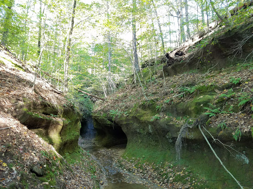 Campground «Fallen Rock Park Restaurant», reviews and photos, 8816 Fallen Rock Rd, Brazil, IN 47834, USA