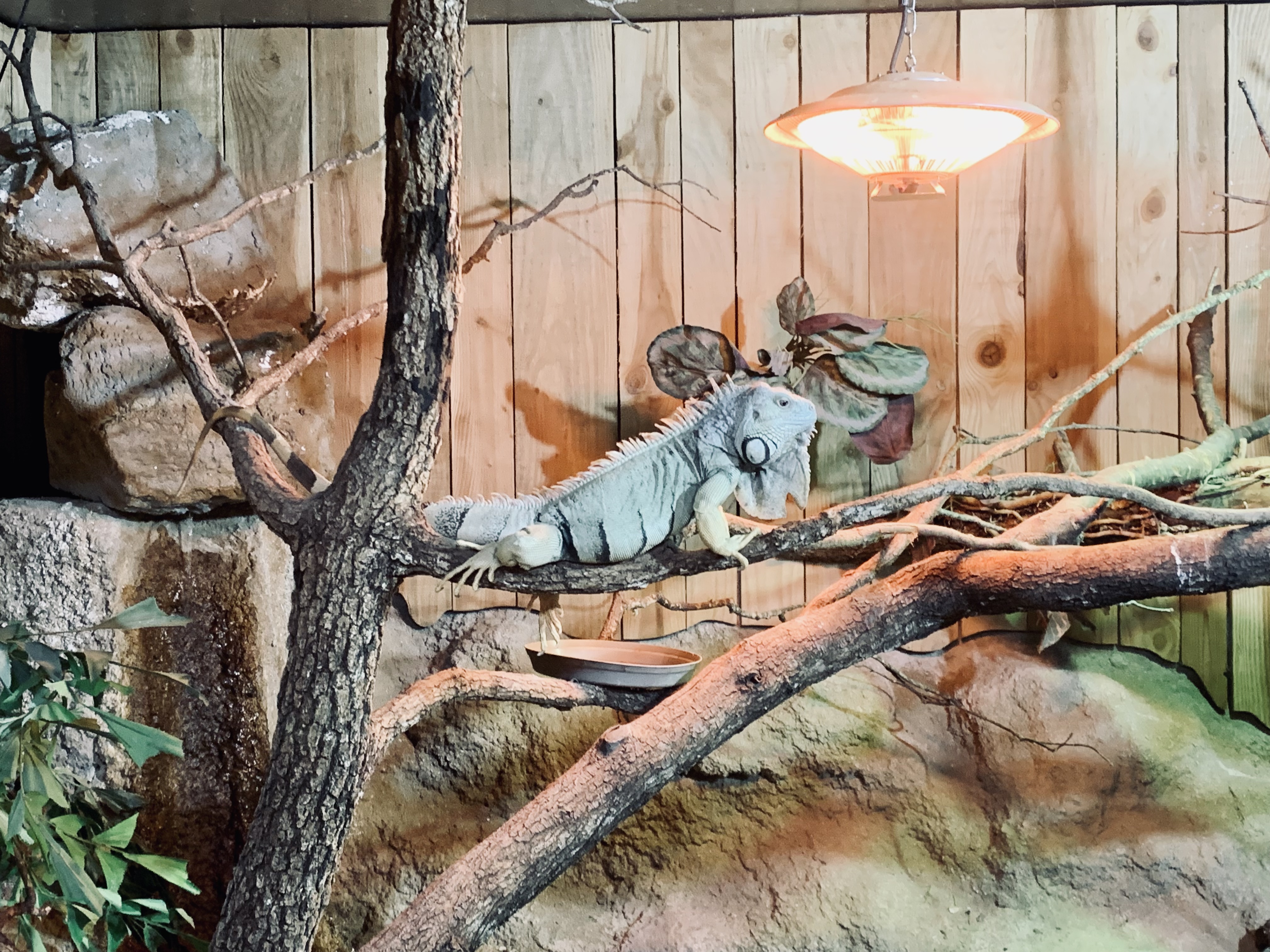 Photo n° 1 de l'avis de Romane.i fait le 28/08/2023 à 19:27