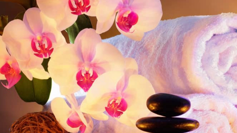 Enchanted Hands Therapeutic Massage and Bodywork 84129