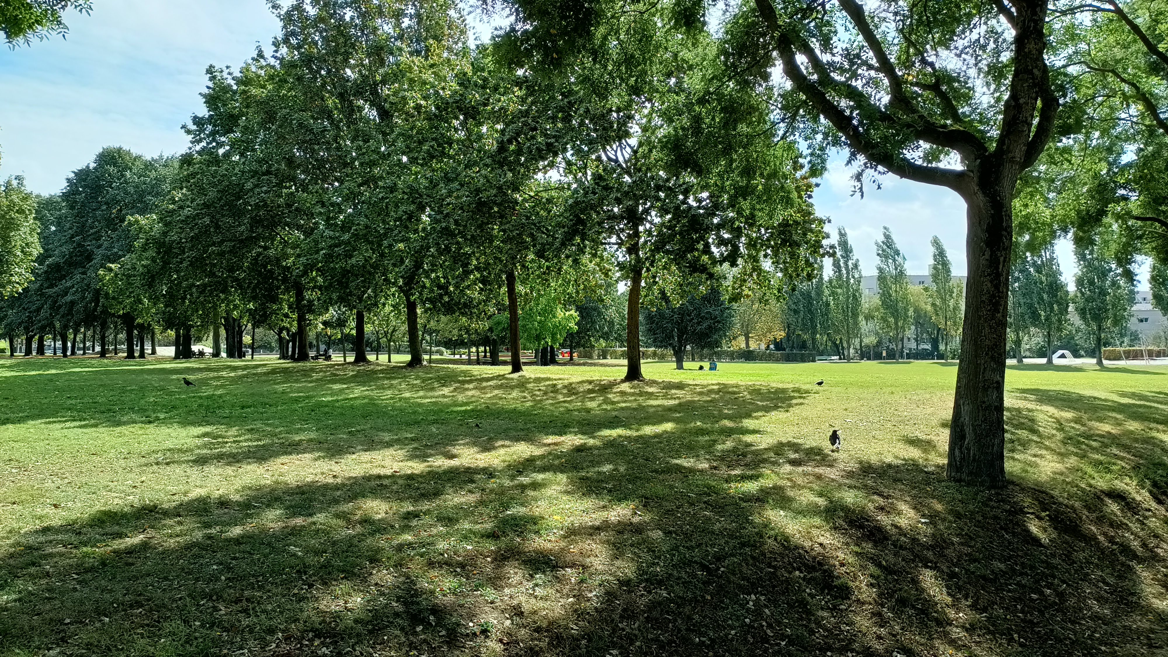 Photo n° 6 de l'avis de D. fait le 18/09/2023 à 12:32