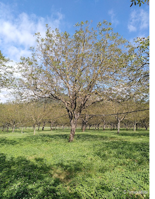 Ferme de la Bâtie à Montlaur-en-Diois