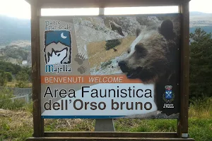Area Faunistica dell'Orso Bruno image