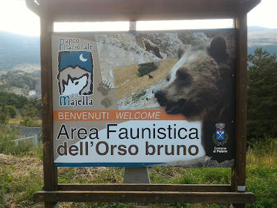 Area Faunistica dell'Orso Bruno 66017 Palena CH, Italia