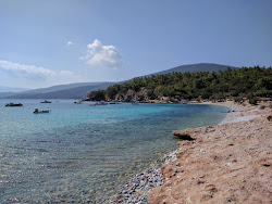 Mourtia beach'in fotoğrafı imkanlar alanı