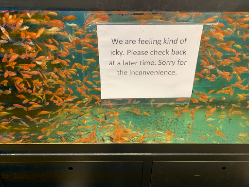 Pet Supply Store «Pet Supplies Plus», reviews and photos, 1237 Concord Pkwy N, Concord, NC 28025, USA