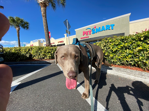 Pet Supply Store «PetSmart», reviews and photos, 24005 U.S. 27, Lake Wales, FL 33859, USA