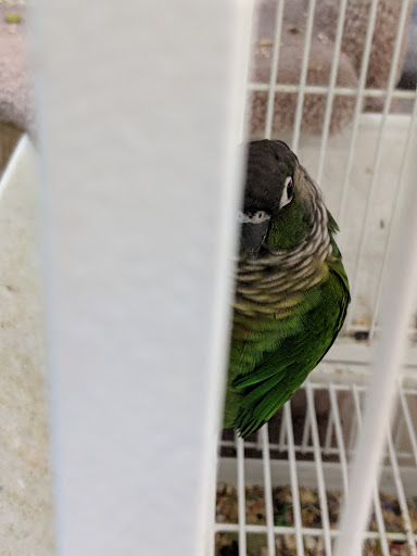 Pet Supply Store «Pet Valu», reviews and photos, 541 S Breiel Blvd, Middletown, OH 45044, USA