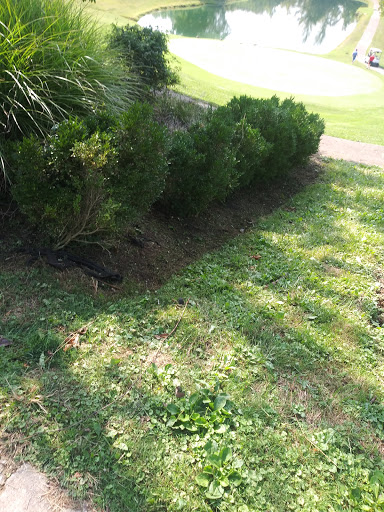 Public Golf Course «Beech Creek Golf Course», reviews and photos, 1831 Hudepohl Ln, Cincinnati, OH 45231, USA