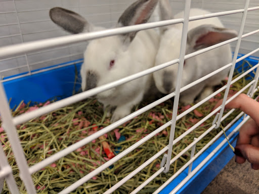 Pet Supply Store «PetSmart», reviews and photos, 11183 S Parker Rd, Parker, CO 80134, USA