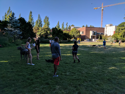 The Union Green, Seattle University