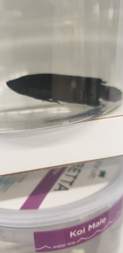 Pet Supply Store «Petco Animal Supplies», reviews and photos, 6025 Kruse Dr #159, Solon, OH 44139, USA