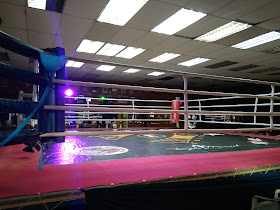 Federacion Chilena de Boxeo