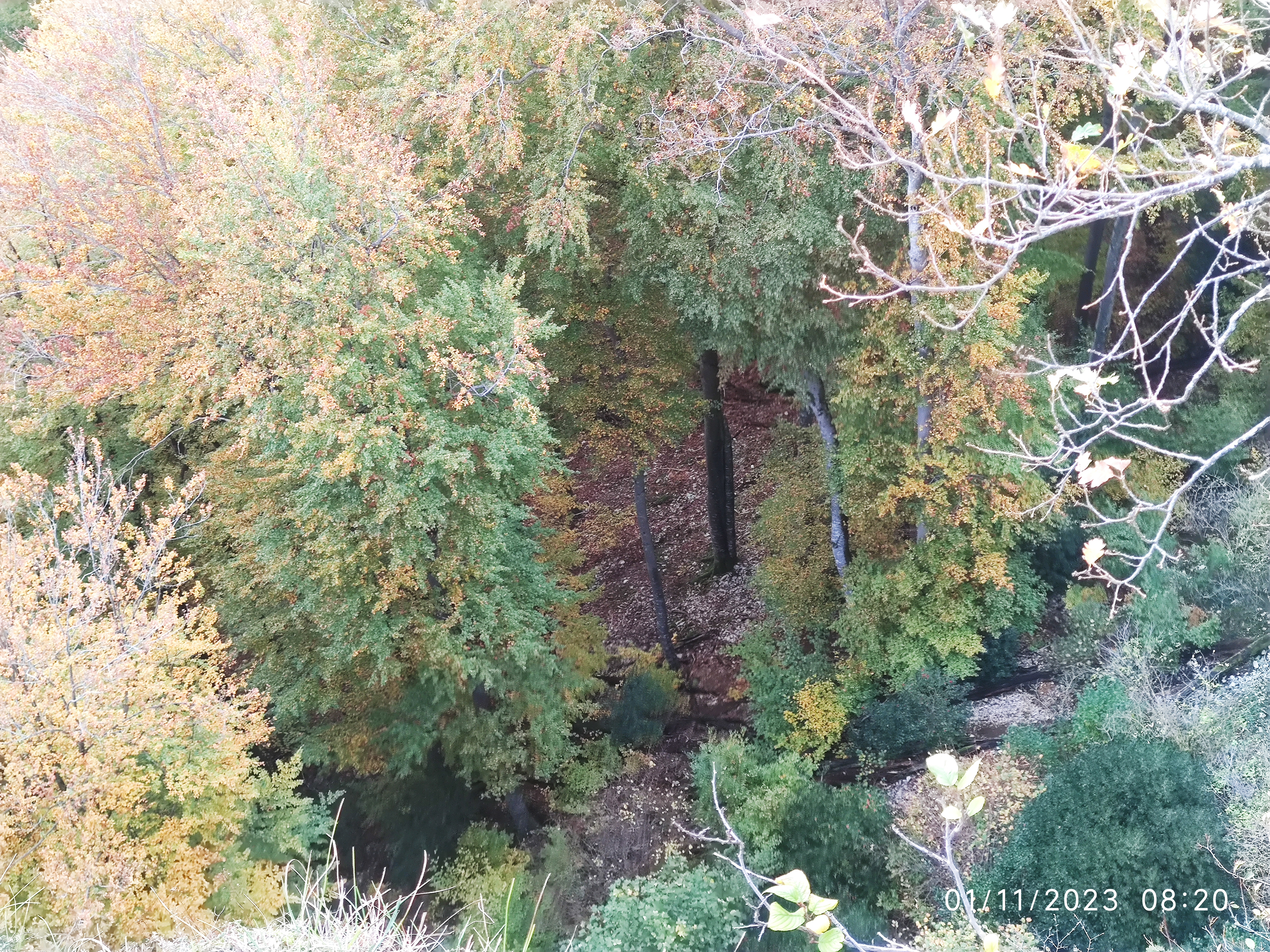 Photo n° 17 de l'avis de Patrick.i fait le 12/12/2023 à 10:07