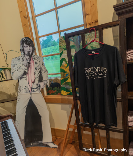 Vineyard «Three Sisters Vineyards & Winery», reviews and photos, 439 Vineyard Way, Dahlonega, GA 30533, USA