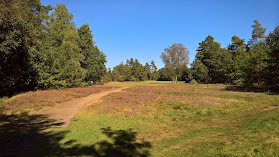 Bergen Hohne Golf Club e. V.