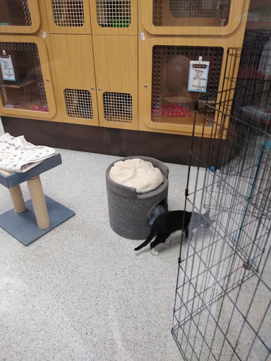 Petco image