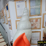 Photo n°40 de l'avis de Angela.e fait le 05/04/2018 à 20:31 sur le  Hotel Calabresi à San Benedetto del Tronto