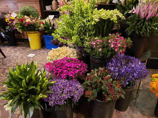 Florist «Pure Design», reviews and photos, 500 S 22nd St, Philadelphia, PA 19146, USA