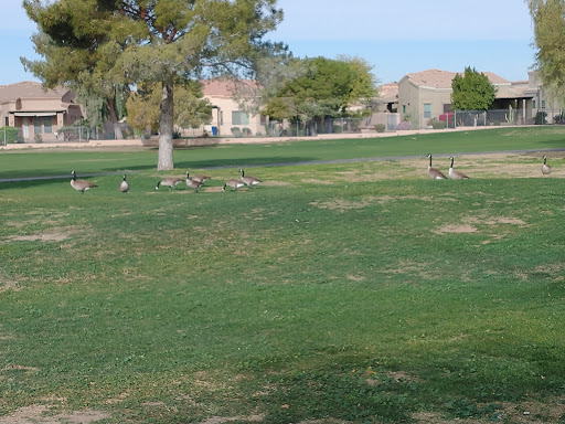 Golf Club «Painted Mountain Golf Resort», reviews and photos, 6210 E McKellips Rd, Mesa, AZ 85215, USA