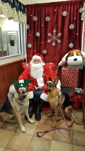 Pet Supply Store «PetSmart», reviews and photos, 637 Woodbury Glassboro Rd, Sewell, NJ 08080, USA