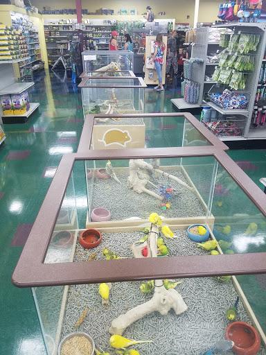 Pet Store «Petland Lewis Center», reviews and photos, 86 Meadow Park Ave, Lewis Center, OH 43035, USA