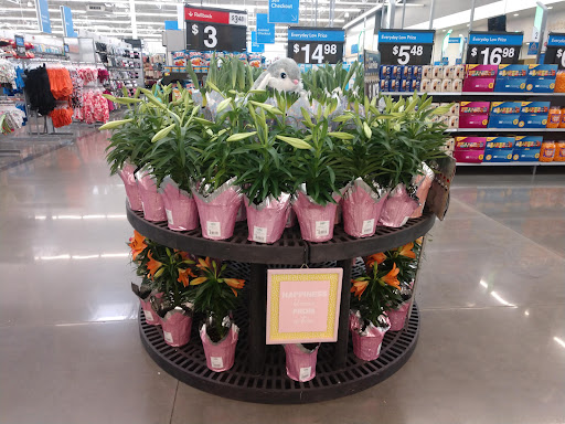 Department Store «Walmart Supercenter», reviews and photos, 1882 Holly St, Blair, NE 68008, USA