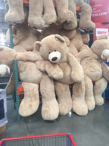 Costco Wholesale image