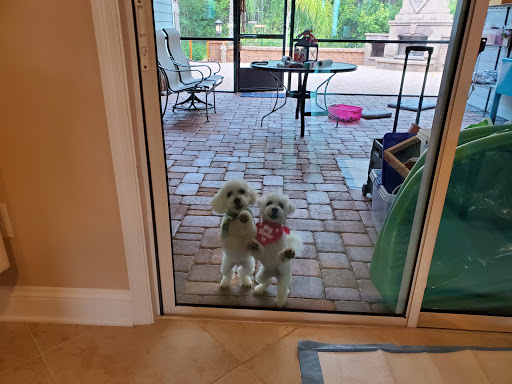 Moving and Storage Service «All My Sons Moving & Storage», reviews and photos, 3636 Silver Star Rd, Orlando, FL 32808, USA