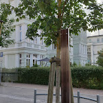 Photo n°2 de l'avis de Brigitte.i fait le 30/07/2023 à 17:21 sur le  Wirtshaus Leo à Heringsdorf