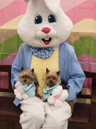 Pet Supply Store «PetSmart», reviews and photos, 36395 Euclid Ave, Willoughby, OH 44094, USA