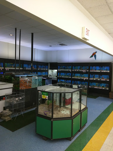 Pet Supply Store «Pet Supplies Plus», reviews and photos, 5315 Airport Hwy, Toledo, OH 43615, USA