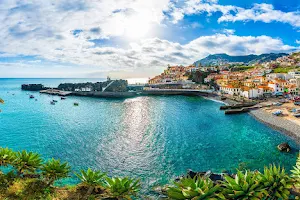 Feeling Madeira Tours & Walks image